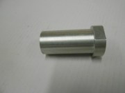 DSCN5278