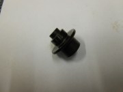 DSCN5547