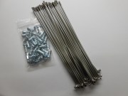 DSCN5581